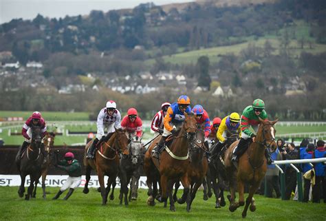 2019 cheltenham festival results|2019 Race Results .